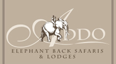 Addo Elephant Back Safairs and Lodge